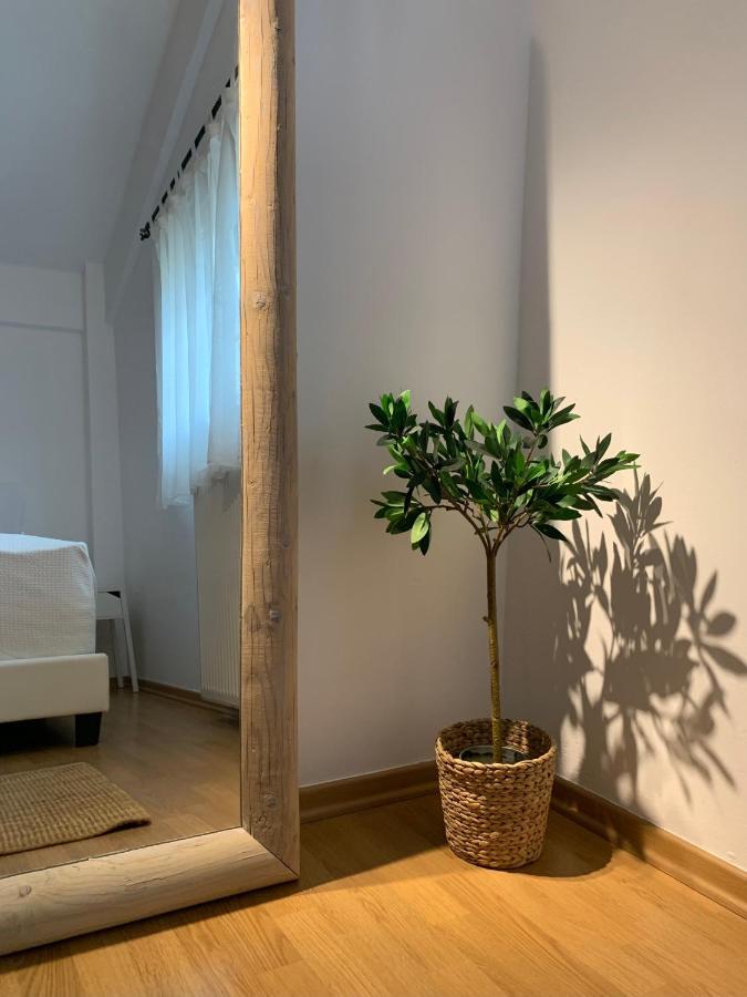 Casa Brucie - New Stylish Apartment In Corfu! Kanálion エクステリア 写真